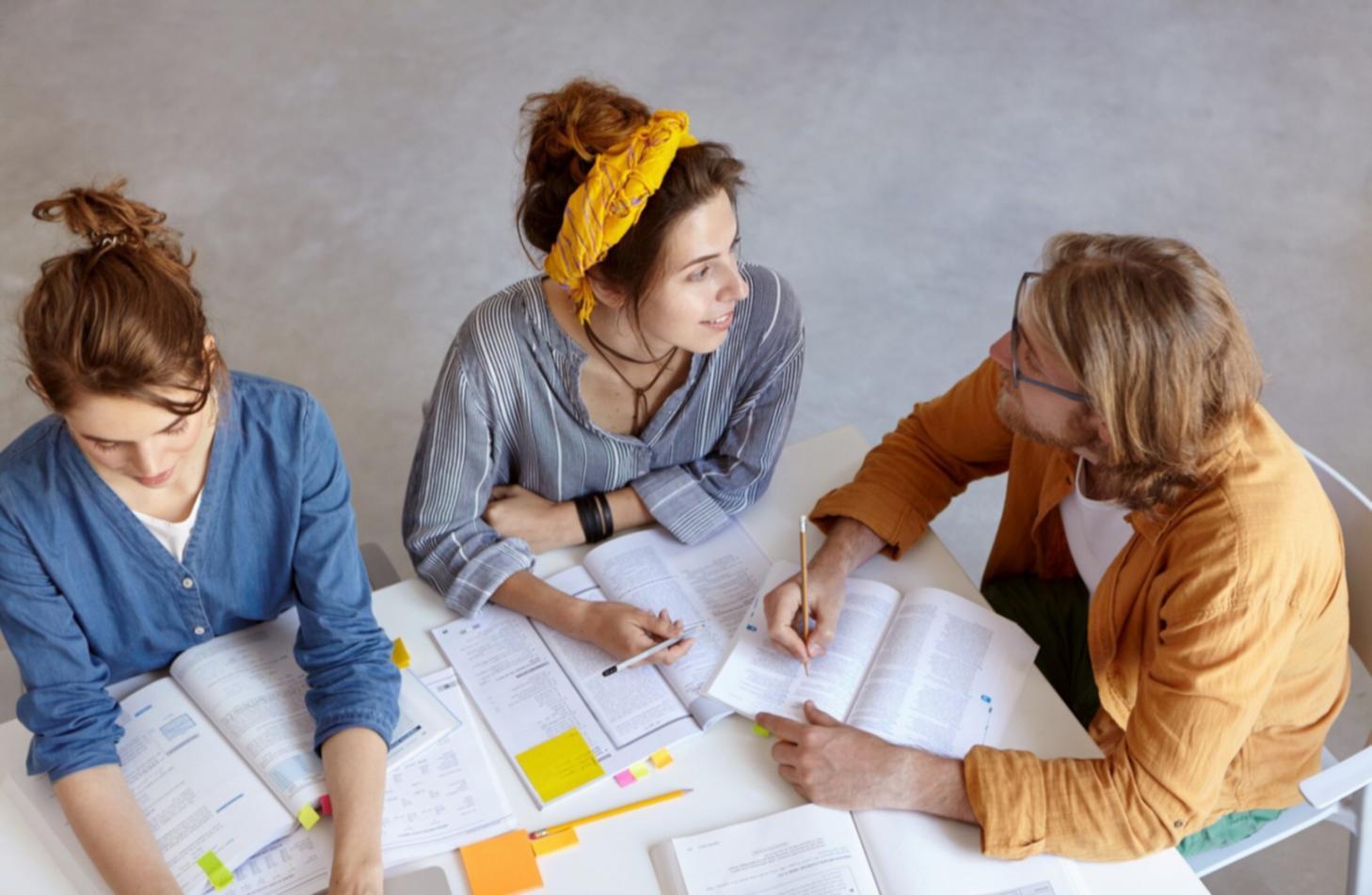 Budget analysis learning environment